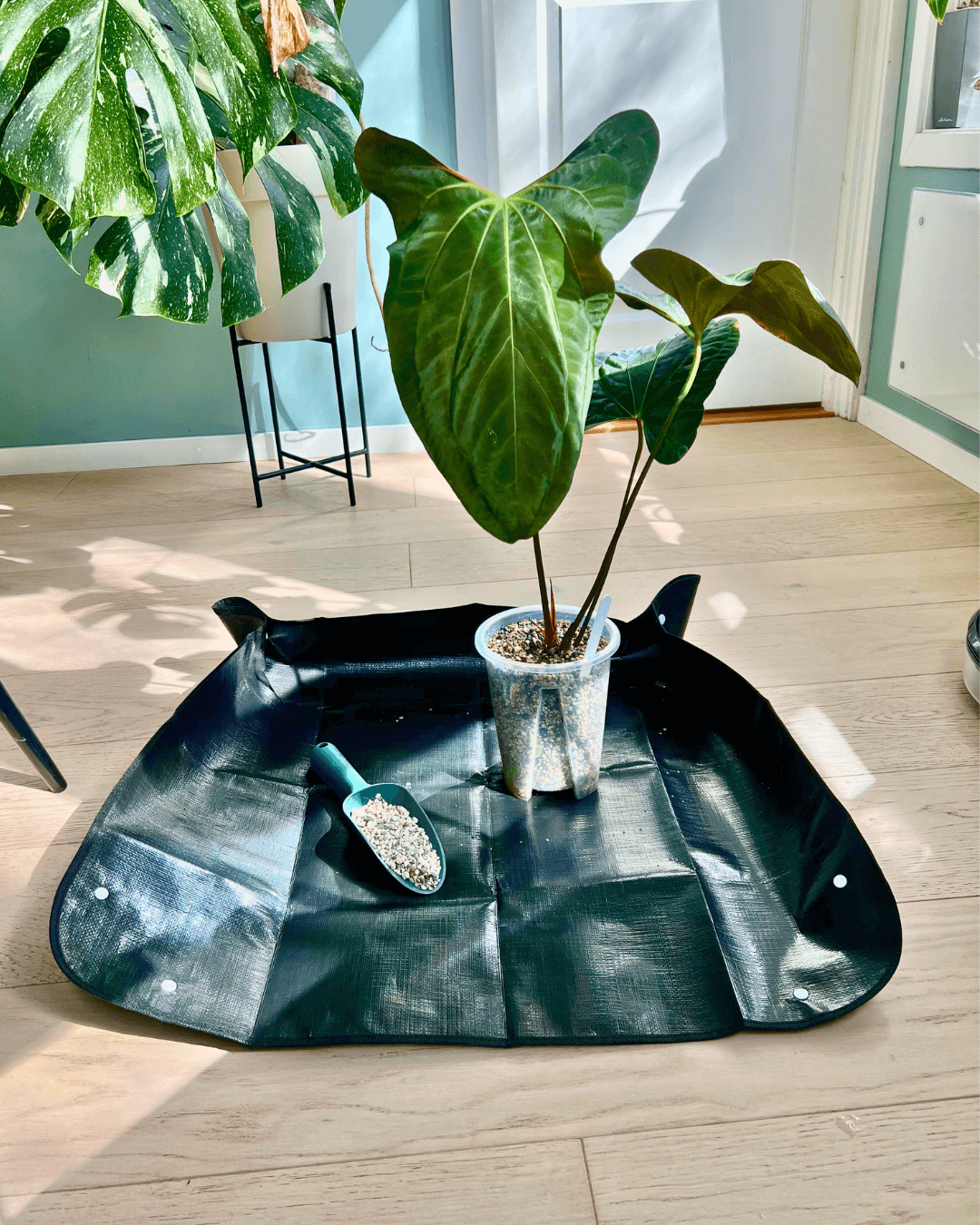 Ompottingsmatte